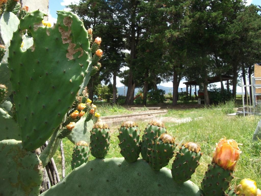 Agriturismo Mandriato Santa Luce Luaran gambar